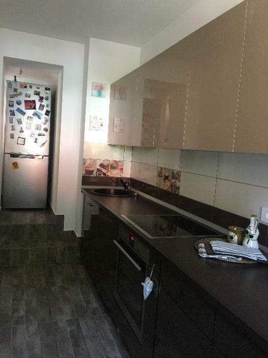 Maison Rosmina Брашов Экстерьер фото
