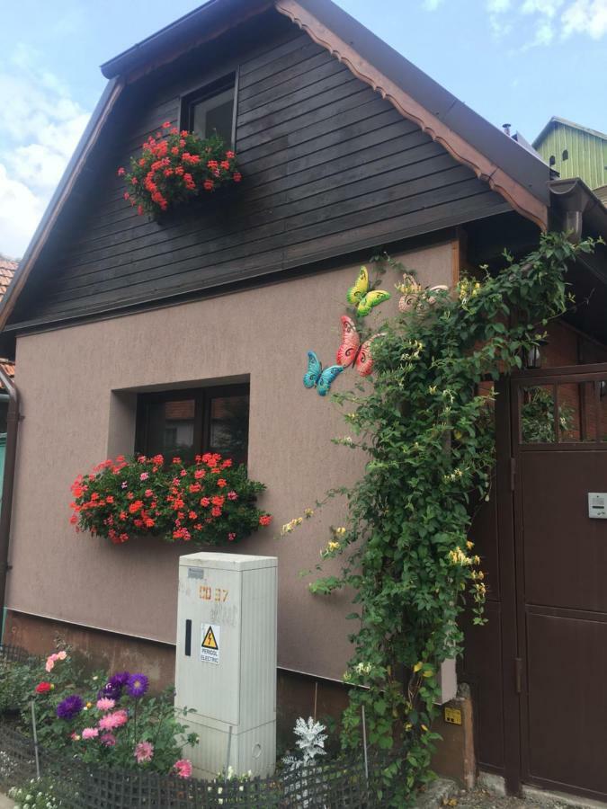 Maison Rosmina Брашов Экстерьер фото